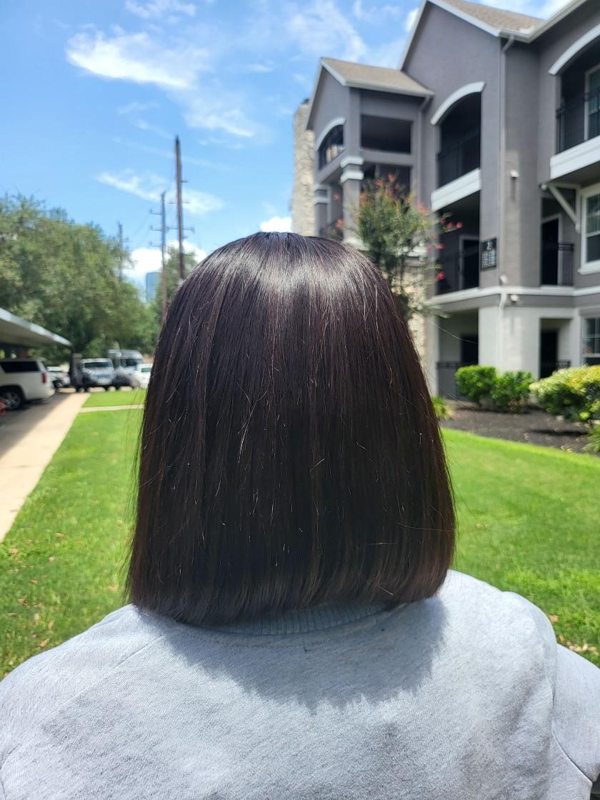 Vietnamese Luxury Black Bob Glueless Wig.